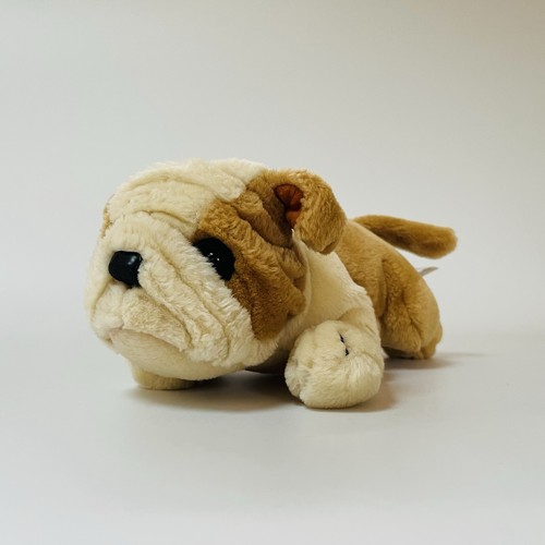 Chad valley bulldog - valley, puppy