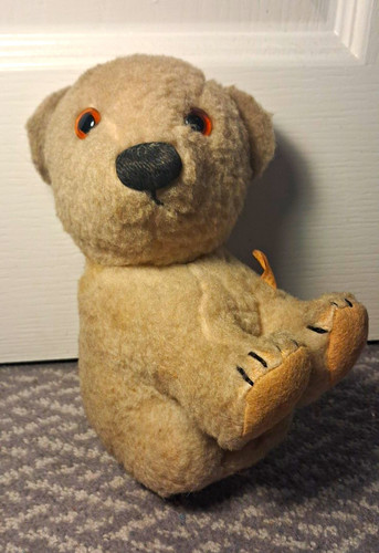 Chad valley bear walking - bear,, in