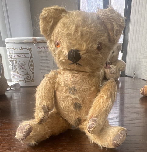 Beige teddy bear plush - beige,