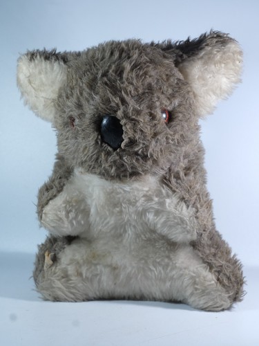 Vintage koala bear chad - bear, valley