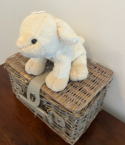 Vintage chad valley lamb dog - vintage,